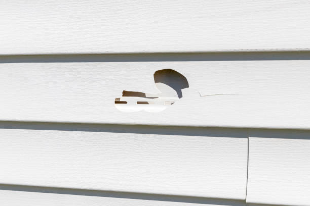 Best Insulated Siding Installation  in Selah, WA